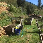 Guest Agro-turismo Quinta Da Fonte * 菲盖罗杜什维纽什