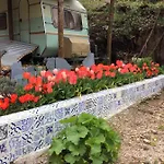 Guest Agro-turismo Quinta Da Fonte 住宿加早餐酒店 菲盖罗杜什维纽什