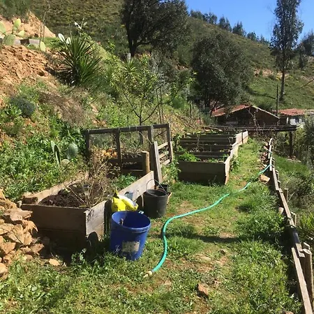 Guest Agro-turismo Quinta Da Fonte * Figueiro Dos Vinhos