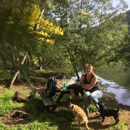 Guest Agro-turismo Quinta Da Fonte Figueiro Dos Vinhos