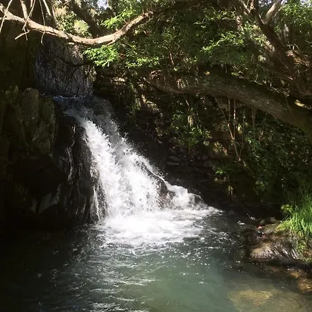 Guest Agro-turismo Quinta Da Fonte * Figueiro Dos Vinhos