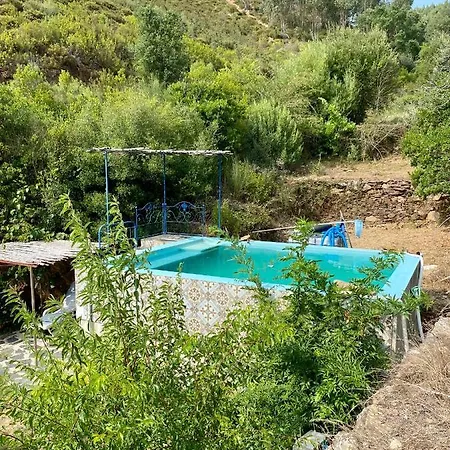 Guest Agro-turismo Quinta Da Fonte Bed & Breakfast Figueiro Dos Vinhos