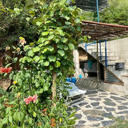 Bed & Breakfast Guest Agro-turismo Quinta Da Fonte Figueiro Dos Vinhos