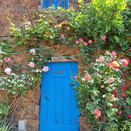 Guest Agro-turismo Quinta Da Fonte Couette-café *