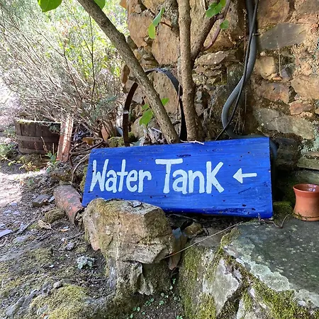 Couette-café Guest Agro-turismo Quinta Da Fonte Figueiro Dos Vinhos