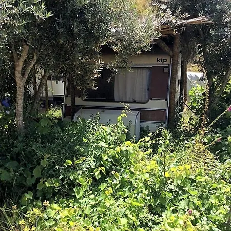 住宿加早餐酒店 Guest Agro-turismo Quinta Da Fonte 菲盖罗杜什维纽什