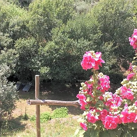 Bed & Breakfast Guest Agro-turismo Quinta Da Fonte