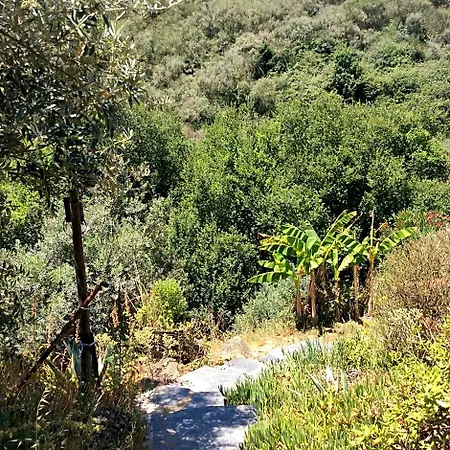 住宿加早餐酒店 Guest Agro-turismo Quinta Da Fonte 菲盖罗杜什维纽什