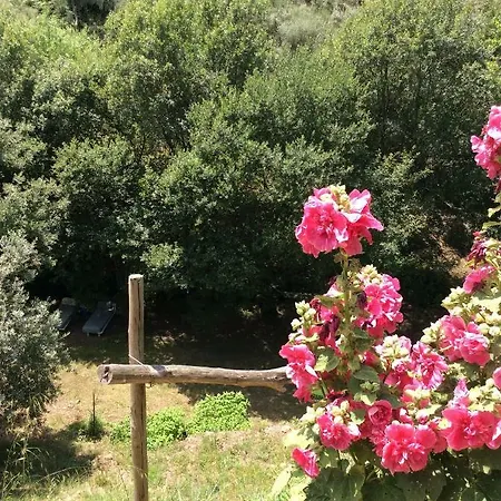 Bed & Breakfast Guest Agro-turismo Quinta Da Fonte