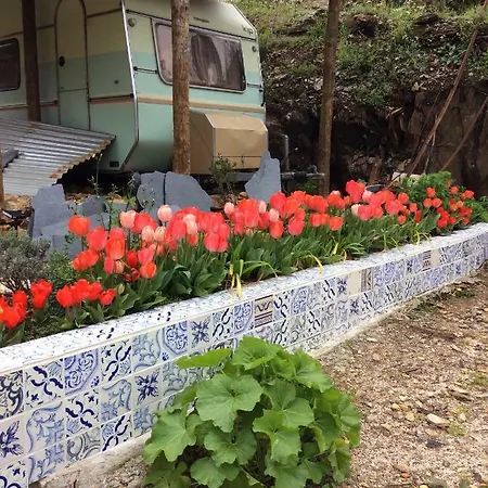 Guest Agro-turismo Quinta Da Fonte Panzió Figueiró dos Vinhos