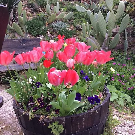 Bed & Breakfast Guest Agro-turismo Quinta Da Fonte