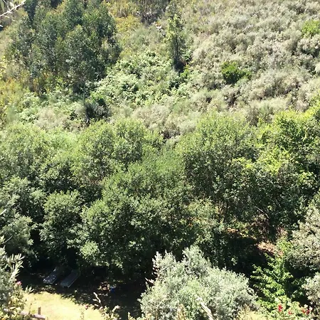 Guest Agro-turismo Quinta Da Fonte