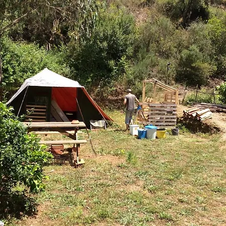 Guest Agro-turismo Quinta Da Fonte Figueiró dos Vinhos