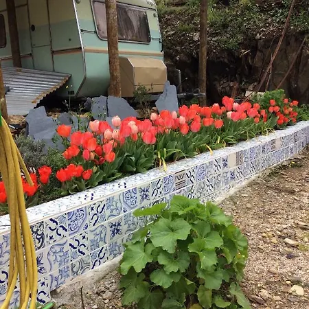 Guest Agro-turismo Quinta Da Fonte Figueiro Dos Vinhos