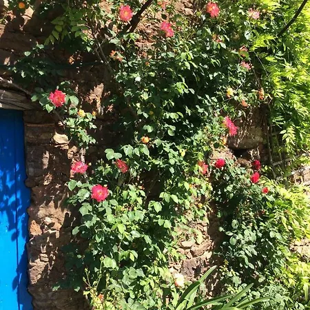 Guest Agro-turismo Quinta Da Fonte Bed & Breakfast