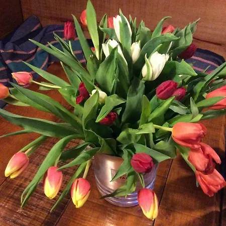 Guest Agro-turismo Quinta Da Fonte Bed & Breakfast Figueiro Dos Vinhos