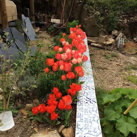 Guest Agro-turismo Quinta Da Fonte Bed & Breakfast