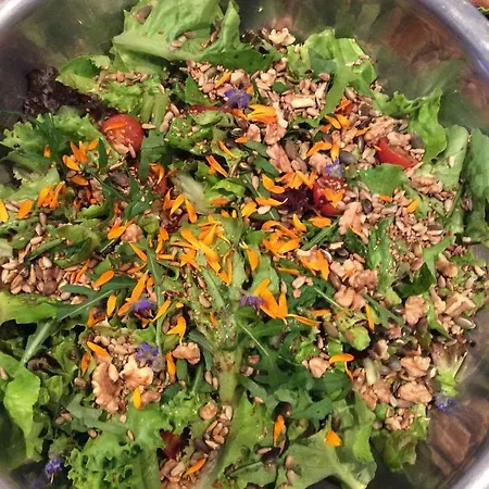 Guest Agro-turismo Quinta Da Fonte Bed & Breakfast Figueiro Dos Vinhos