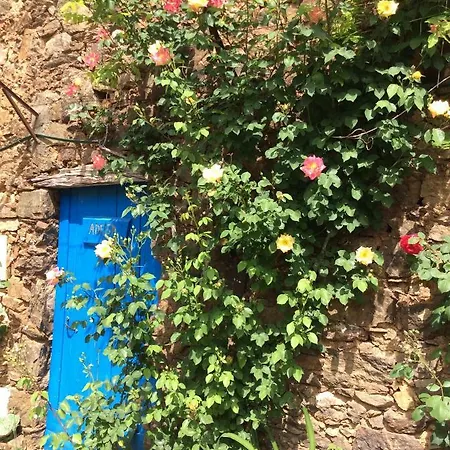 Guest Agro-turismo Quinta Da Fonte *