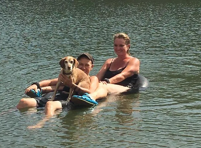 Couette-café Guest Agro-turismo Quinta Da Fonte *