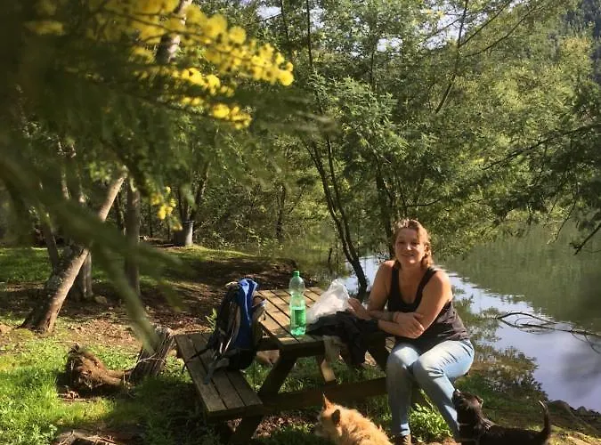 Guest Agro-turismo Quinta Da Fonte Figueiro Dos Vinhos