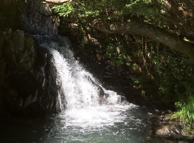 Guest Agro-turismo Quinta Da Fonte * Figueiro Dos Vinhos
