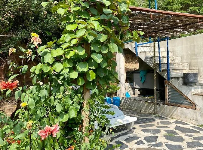 Alojamento de Acomodação e Pequeno-almoço Guest Agro-turismo Quinta Da Fonte Figueiro Dos Vinhos