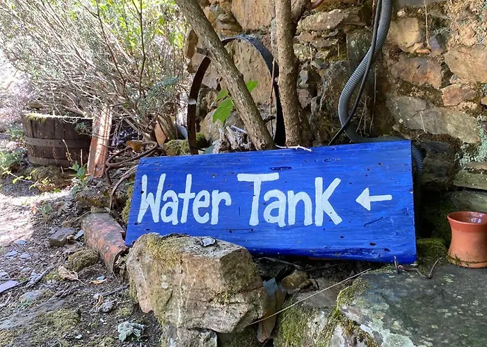 Couette-café Guest Agro-turismo Quinta Da Fonte Figueiro Dos Vinhos