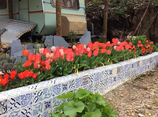 Guest Agro-turismo Quinta Da Fonte Couette-café Figueiro Dos Vinhos