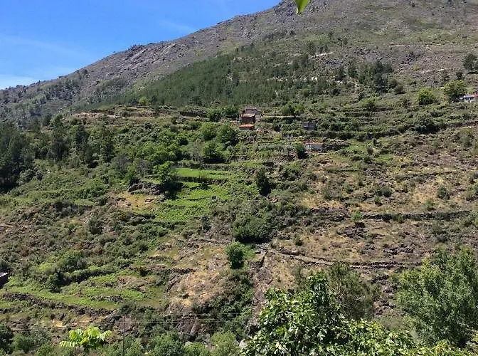 Guest Agro-turismo Quinta Da Fonte * Figueiro Dos Vinhos