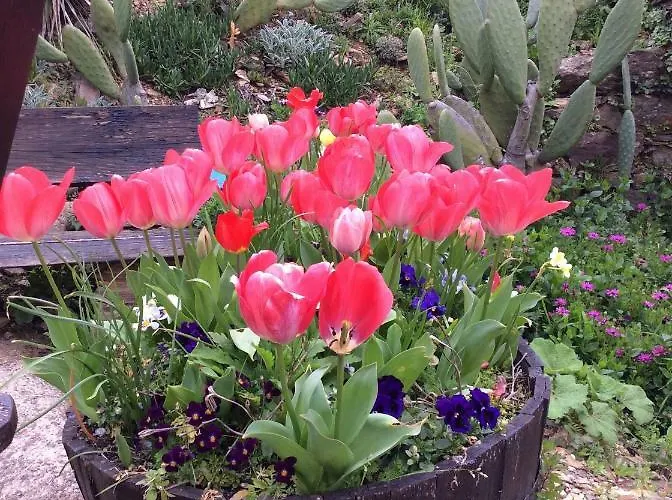 Couette-café Guest Agro-turismo Quinta Da Fonte