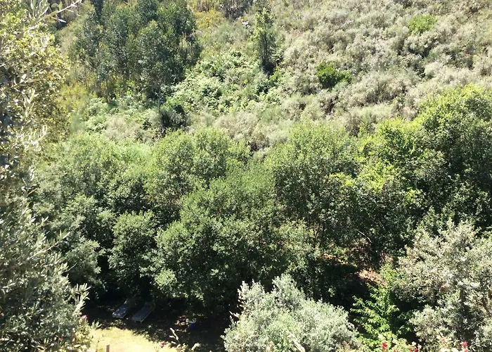 Guest Agro-turismo Quinta Da Fonte