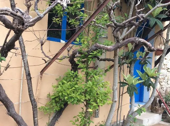 Guest Agro-turismo Quinta Da Fonte Figueiro Dos Vinhos