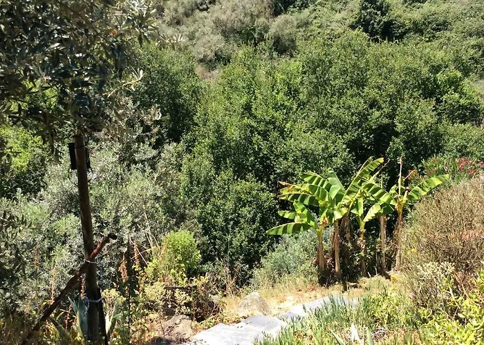 Guest Agro-turismo Quinta Da Fonte Couette-café *