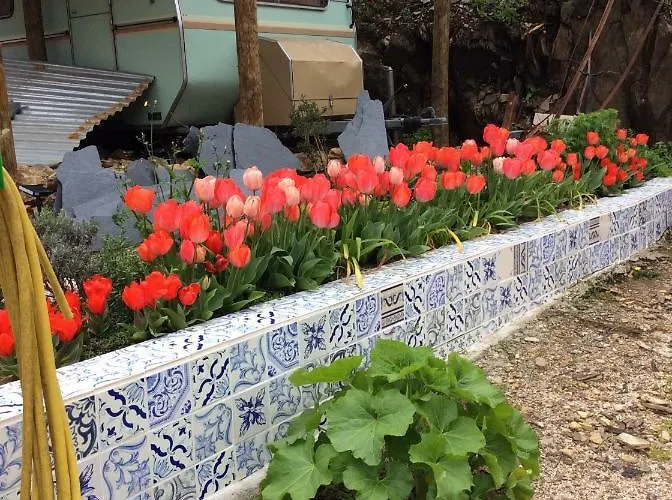 Guest Agro-turismo Quinta Da Fonte Figueiro Dos Vinhos