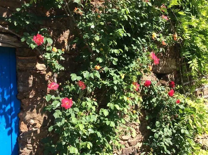 Guest Agro-turismo Quinta Da Fonte Alojamento de Acomodação e Pequeno-almoço