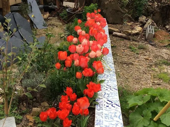 Guest Agro-turismo Quinta Da Fonte Alojamento de Acomodação e Pequeno-almoço