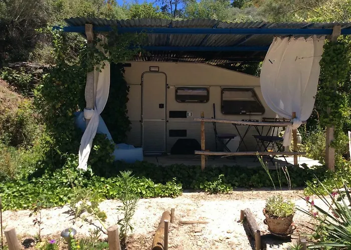 Alojamento de Acomodação e Pequeno-almoço Guest Agro-turismo Quinta Da Fonte *