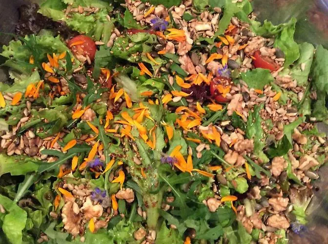 Guest Agro-turismo Quinta Da Fonte Couette-café Figueiro Dos Vinhos